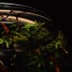Wave Crystal Globe Blown Glass 30 Wave Crystal Globe Blown Glass 30