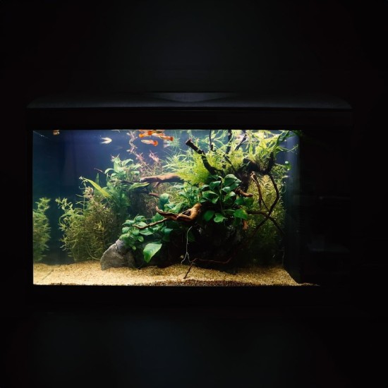 Wave Riviera A2001628 40 LED Coldwater Black Wave Riviera A2001628 40 LED Coldwater Black