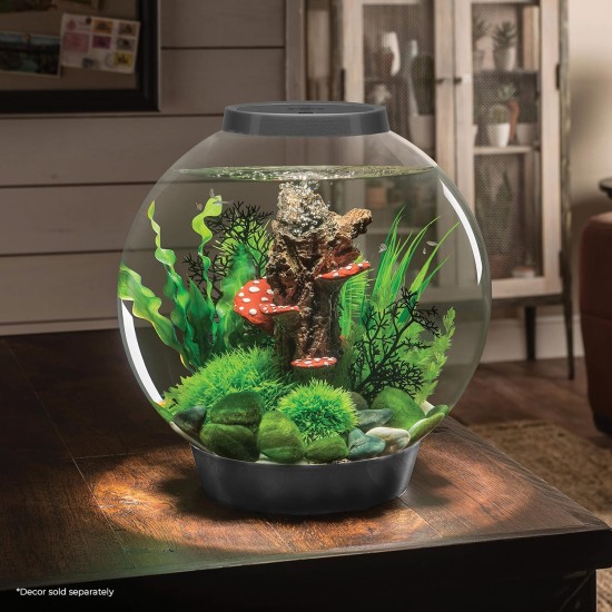 biOrb 72000 Classic 15 LED, 15 L, silver, decorative round acrylic aquarium, complete set with patented filter system, LED lighting biOrb 72000 Classic 15 LED, 15 L, silver, decorative round acrylic aquarium, complete set with patented filter system, LED lighting