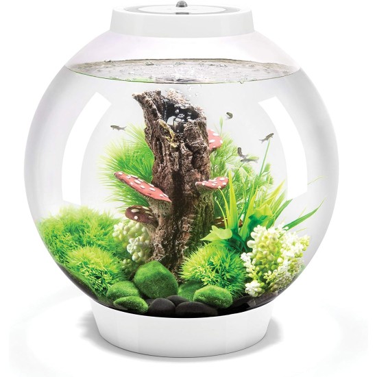 biOrb 72000 Classic 15 LED, 15 L, silver, decorative round acrylic aquarium, complete set with patented filter system, LED lighting biOrb 72000 Classic 15 LED, 15 L, silver, decorative round acrylic aquarium, complete set with patented filter system, LED lighting