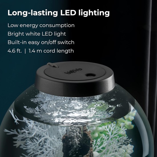 biOrb 72000 Classic 15 LED, 15 L, silver, decorative round acrylic aquarium, complete set with patented filter system, LED lighting biOrb 72000 Classic 15 LED, 15 L, silver, decorative round acrylic aquarium, complete set with patented filter system, LED lighting