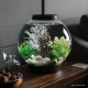 biOrb 72000 Classic 15 LED, 15 L, silver, decorative round acrylic aquarium, complete set with patented filter system, LED lighting biOrb 72000 Classic 15 LED, 15 L, silver, decorative round acrylic aquarium, complete set with patented filter system, LED lighting