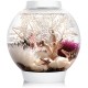 biOrb 72000 Classic 15 LED, 15 L, silver, decorative round acrylic aquarium, complete set with patented filter system, LED lighting biOrb 72000 Classic 15 LED, 15 L, silver, decorative round acrylic aquarium, complete set with patented filter system, LED lighting