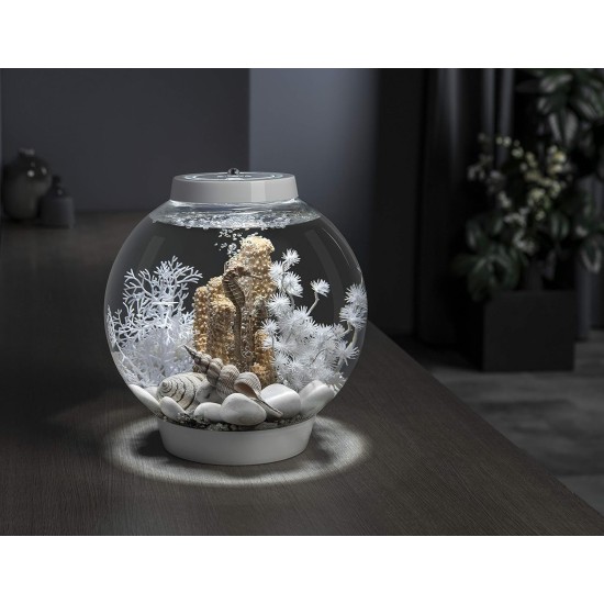 biOrb 72000 Classic 15 LED, 15 L, silver, decorative round acrylic aquarium, complete set with patented filter system, LED lighting biOrb 72000 Classic 15 LED, 15 L, silver, decorative round acrylic aquarium, complete set with patented filter system, LED lighting