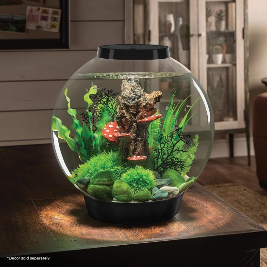biOrb 72011 Classic 60 LED, 60 L, black, decorative round acrylic aquarium, complete set with patented filter system, LED lighting biOrb 72011 Classic 60 LED, 60 L, black, decorative round acrylic aquarium, complete set with patented filter system, LED lighting
