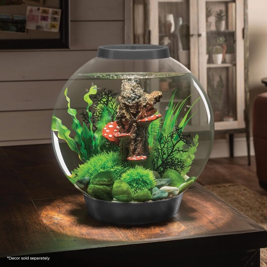 biOrb 72011 Classic 60 LED, 60 L, black, decorative round acrylic aquarium, complete set with patented filter system, LED lighting biOrb 72011 Classic 60 LED, 60 L, black, decorative round acrylic aquarium, complete set with patented filter system, LED lighting