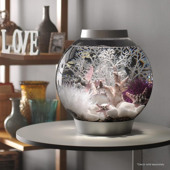 biOrb 72012 Classic 60 LED, 60 L, silver, acrylic aquarium in ball shape, complete set with filter system, LED lighting, ceramic gravel biOrb 72012 Classic 60 LED, 60 L, silver, acrylic aquarium in ball shape, complete set with filter system, LED lighting, ceramic gravel