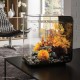 biOrb 72033 Flow 30 LED Black - Elegant Design Aquarium, Complete Set with Filter System, LED Lighting, Floor Gravel and Air Vent Made of Durable Acrylic Glass biOrb 72033 Flow 30 LED Black - Elegant Design Aquarium, Complete Set with Filter System, LED Lighting, Floor Gravel and Air Vent Made of Durable Acrylic Glass