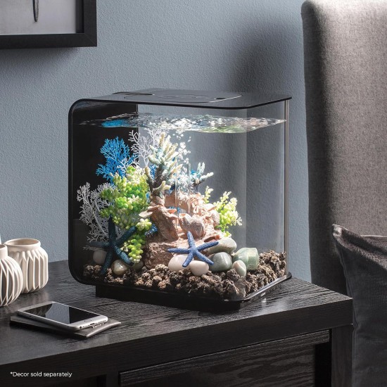 biOrb 72033 Flow 30 LED Black - Elegant Design Aquarium, Complete Set with Filter System, LED Lighting, Floor Gravel and Air Vent Made of Durable Acrylic Glass biOrb 72033 Flow 30 LED Black - Elegant Design Aquarium, Complete Set with Filter System, LED Lighting, Floor Gravel and Air Vent Made of Durable Acrylic Glass