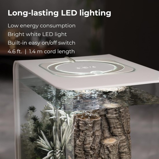 biOrb 72033 Flow 30 LED Black - Elegant Design Aquarium, Complete Set with Filter System, LED Lighting, Floor Gravel and Air Vent Made of Durable Acrylic Glass biOrb 72033 Flow 30 LED Black - Elegant Design Aquarium, Complete Set with Filter System, LED Lighting, Floor Gravel and Air Vent Made of Durable Acrylic Glass