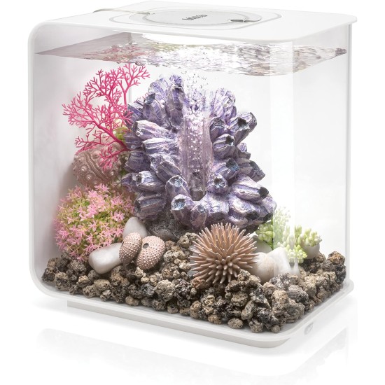 biOrb 72033 Flow 30 LED Black - Elegant Design Aquarium, Complete Set with Filter System, LED Lighting, Floor Gravel and Air Vent Made of Durable Acrylic Glass biOrb 72033 Flow 30 LED Black - Elegant Design Aquarium, Complete Set with Filter System, LED Lighting, Floor Gravel and Air Vent Made of Durable Acrylic Glass
