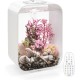 biOrb 72047 Life 15 LED, Transparent, 15 L Tank Volume - Aquarium Set with Filter System, LED Lighting, Ceramic Substrate Made of Robust Acrylic Glass biOrb 72047 Life 15 LED, Transparent, 15 L Tank Volume - Aquarium Set with Filter System, LED Lighting, Ceramic Substrate Made of Robust Acrylic Glass