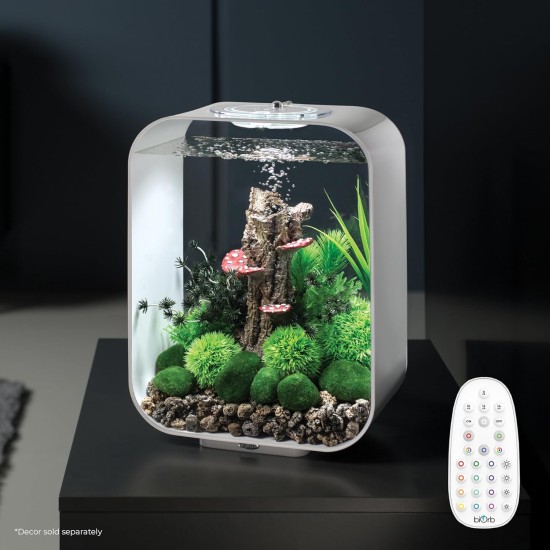 biOrb 72047 Life 15 LED, Transparent, 15 L Tank Volume - Aquarium Set with Filter System, LED Lighting, Ceramic Substrate Made of Robust Acrylic Glass biOrb 72047 Life 15 LED, Transparent, 15 L Tank Volume - Aquarium Set with Filter System, LED Lighting, Ceramic Substrate Made of Robust Acrylic Glass