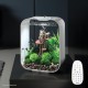 biOrb 72047 Life 15 LED, Transparent, 15 L Tank Volume - Aquarium Set with Filter System, LED Lighting, Ceramic Substrate Made of Robust Acrylic Glass biOrb 72047 Life 15 LED, Transparent, 15 L Tank Volume - Aquarium Set with Filter System, LED Lighting, Ceramic Substrate Made of Robust Acrylic Glass