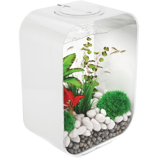 biOrb 72047 Life 15 LED, Transparent, 15 L Tank Volume - Aquarium Set with Filter System, LED Lighting, Ceramic Substrate Made of Robust Acrylic Glass biOrb 72047 Life 15 LED, Transparent, 15 L Tank Volume - Aquarium Set with Filter System, LED Lighting, Ceramic Substrate Made of Robust Acrylic Glass