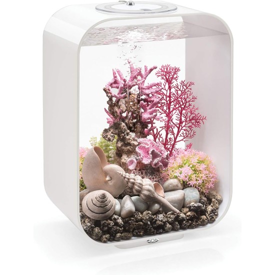 biOrb 72049 LIFE 15 LED, White, 15 L Tank Volume - Aquarium Set with Filter System, LED Lighting, Ceramic Substrate Made of Robust Acrylic Glass biOrb 72049 LIFE 15 LED, White, 15 L Tank Volume - Aquarium Set with Filter System, LED Lighting, Ceramic Substrate Made of Robust Acrylic Glass