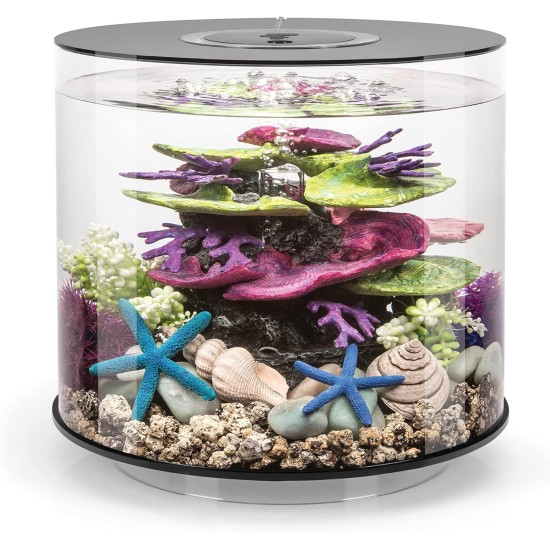 biOrb 72062 Tube 15 LED Black - 15 Litres 360 Degree Decorative Aquarium | Complete Set Made of Acrylic Glass with LED Lighting, Filter System and Base Ceramic biOrb 72062 Tube 15 LED Black - 15 Litres 360 Degree Decorative Aquarium | Complete Set Made of Acrylic Glass with LED Lighting, Filter System and Base Ceramic