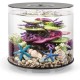 biOrb 72062 Tube 15 LED Black - 15 Litres 360 Degree Decorative Aquarium | Complete Set Made of Acrylic Glass with LED Lighting, Filter System and Base Ceramic biOrb 72062 Tube 15 LED Black - 15 Litres 360 Degree Decorative Aquarium | Complete Set Made of Acrylic Glass with LED Lighting, Filter System and Base Ceramic