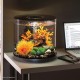 biOrb 72062 Tube 15 LED Black - 15 Litres 360 Degree Decorative Aquarium | Complete Set Made of Acrylic Glass with LED Lighting, Filter System and Base Ceramic biOrb 72062 Tube 15 LED Black - 15 Litres 360 Degree Decorative Aquarium | Complete Set Made of Acrylic Glass with LED Lighting, Filter System and Base Ceramic