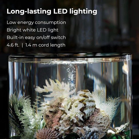 biOrb 72062 Tube 15 LED Black - 15 Litres 360 Degree Decorative Aquarium | Complete Set Made of Acrylic Glass with LED Lighting, Filter System and Base Ceramic biOrb 72062 Tube 15 LED Black - 15 Litres 360 Degree Decorative Aquarium | Complete Set Made of Acrylic Glass with LED Lighting, Filter System and Base Ceramic