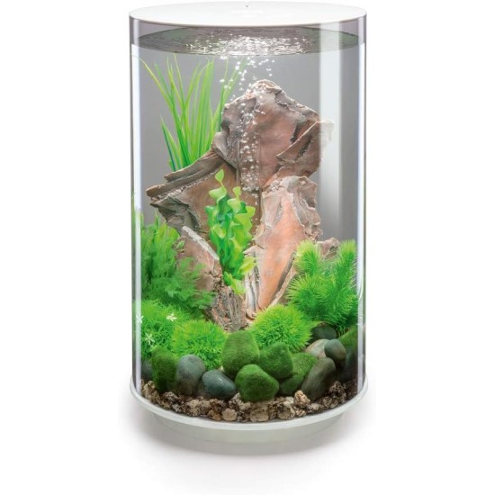 biOrb 72067 TUBE 30 LED, white (30 litres), diameter 32.8 x height 51.3 cm, complete set with acrylic glass aquarium, LED lighting, filter system and soil ceramic biOrb 72067 TUBE 30 LED, white (30 litres), diameter 32.8 x height 51.3 cm, complete set with acrylic glass aquarium, LED lighting, filter system and soil ceramic