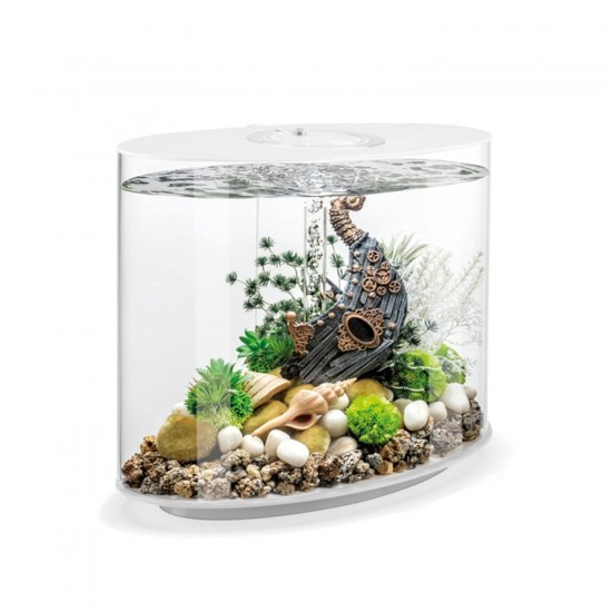 biOrb 86470 Loop 30 MCR White Acrylic Aquarium with MCR Light Unit, Complete Set in Extraordinary Shape biOrb 86470 Loop 30 MCR White Acrylic Aquarium with MCR Light Unit, Complete Set in Extraordinary Shape