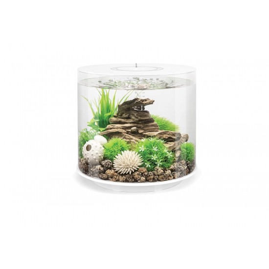 biOrb 86470 Loop 30 MCR White Acrylic Aquarium with MCR Light Unit, Complete Set in Extraordinary Shape biOrb 86470 Loop 30 MCR White Acrylic Aquarium with MCR Light Unit, Complete Set in Extraordinary Shape