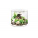 biOrb 86470 Loop 30 MCR White Acrylic Aquarium with MCR Light Unit, Complete Set in Extraordinary Shape biOrb 86470 Loop 30 MCR White Acrylic Aquarium with MCR Light Unit, Complete Set in Extraordinary Shape
