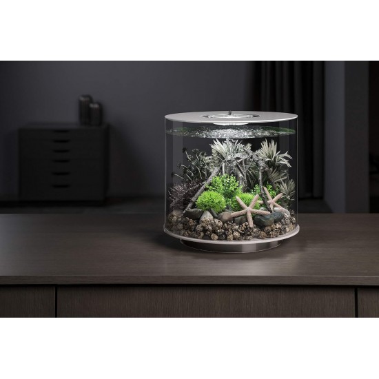 biOrb 86470 Loop 30 MCR White Acrylic Aquarium with MCR Light Unit, Complete Set in Extraordinary Shape biOrb 86470 Loop 30 MCR White Acrylic Aquarium with MCR Light Unit, Complete Set in Extraordinary Shape