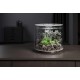 biOrb 86470 Loop 30 MCR White Acrylic Aquarium with MCR Light Unit, Complete Set in Extraordinary Shape biOrb 86470 Loop 30 MCR White Acrylic Aquarium with MCR Light Unit, Complete Set in Extraordinary Shape