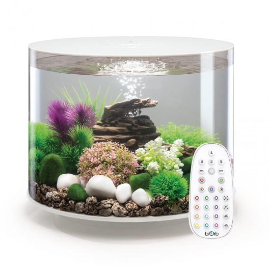 biOrb 86470 Loop 30 MCR White Acrylic Aquarium with MCR Light Unit, Complete Set in Extraordinary Shape biOrb 86470 Loop 30 MCR White Acrylic Aquarium with MCR Light Unit, Complete Set in Extraordinary Shape