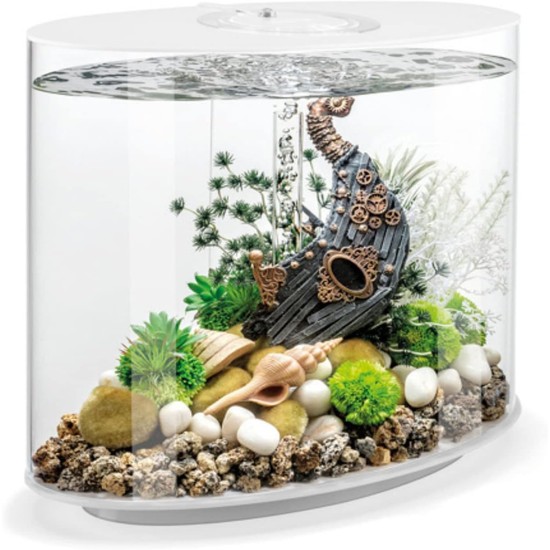 biOrb 86470 Loop 30 MCR White Acrylic Aquarium with MCR Light Unit, Complete Set in Extraordinary Shape biOrb 86470 Loop 30 MCR White Acrylic Aquarium with MCR Light Unit, Complete Set in Extraordinary Shape