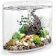 biOrb 86470 Loop 30 MCR White Acrylic Aquarium with MCR Light Unit, Complete Set in Extraordinary Shape biOrb 86470 Loop 30 MCR White Acrylic Aquarium with MCR Light Unit, Complete Set in Extraordinary Shape