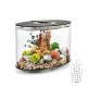 biOrb 86470 Loop 30 MCR White Acrylic Aquarium with MCR Light Unit, Complete Set in Extraordinary Shape biOrb 86470 Loop 30 MCR White Acrylic Aquarium with MCR Light Unit, Complete Set in Extraordinary Shape