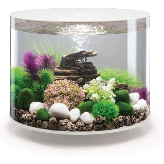 biOrb Aquarium 35 Litre LED White for Fish, Acrylic, Oval, Modern, Transparent biOrb Aquarium 35 Litre LED White for Fish, Acrylic, Oval, Modern, Transparent
