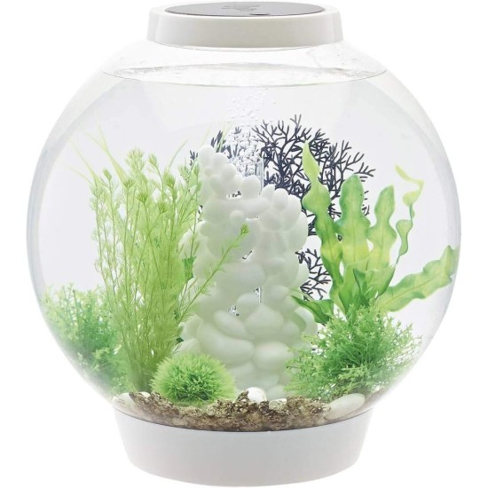biOrb Classic 30 LED Ball Aquarium, 30 Litres, Complete Set with LED Lighting and Patented Filter System, Acrylic Basin biOrb Classic 30 LED Ball Aquarium, 30 Litres, Complete Set with LED Lighting and Patented Filter System, Acrylic Basin
