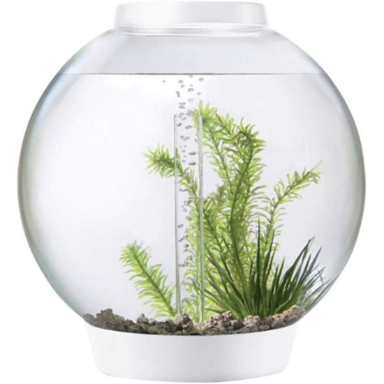 biOrb Classic 30 LED Ball Aquarium, 30 Litres, Complete Set with LED Lighting and Patented Filter System, Acrylic Basin biOrb Classic 30 LED Ball Aquarium, 30 Litres, Complete Set with LED Lighting and Patented Filter System, Acrylic Basin