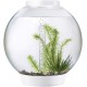 biOrb Classic 30 LED Ball Aquarium, 30 Litres, Complete Set with LED Lighting and Patented Filter System, Acrylic Basin biOrb Classic 30 LED Ball Aquarium, 30 Litres, Complete Set with LED Lighting and Patented Filter System, Acrylic Basin