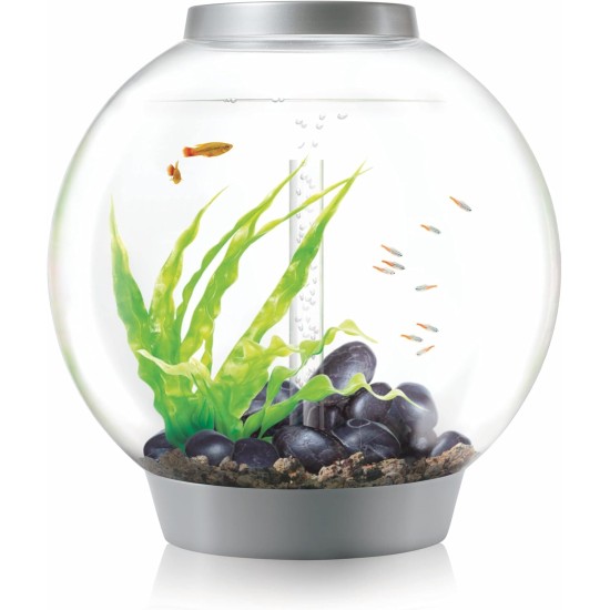biOrb Classic 30 LED Ball Aquarium, 30 Litres, Complete Set with LED Lighting and Patented Filter System, Acrylic Basin biOrb Classic 30 LED Ball Aquarium, 30 Litres, Complete Set with LED Lighting and Patented Filter System, Acrylic Basin