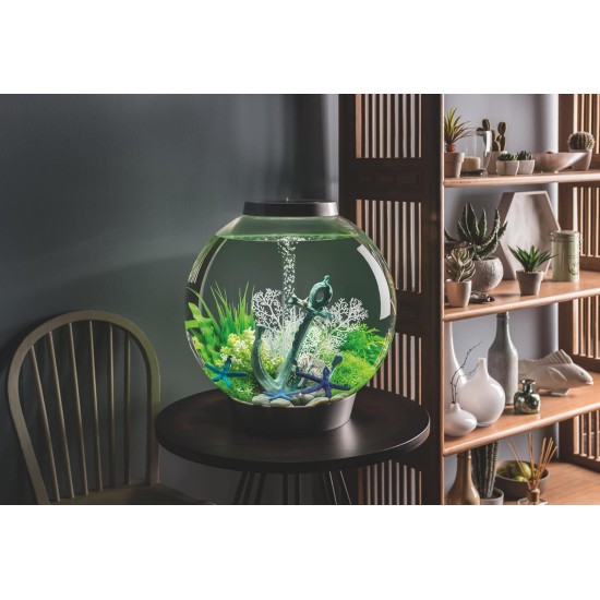 biOrb Classic 30 LED Ball Aquarium, 30 Litres, Complete Set with LED Lighting and Patented Filter System, Acrylic Basin biOrb Classic 30 LED Ball Aquarium, 30 Litres, Complete Set with LED Lighting and Patented Filter System, Acrylic Basin