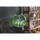 biOrb Classic 30 LED Ball Aquarium, 30 Litres, Complete Set with LED Lighting and Patented Filter System, Acrylic Basin biOrb Classic 30 LED Ball Aquarium, 30 Litres, Complete Set with LED Lighting and Patented Filter System, Acrylic Basin