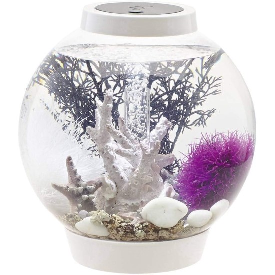 biOrb Classic 30 LED Ball Aquarium, 30 Litres, Complete Set with LED Lighting and Patented Filter System, Acrylic Basin biOrb Classic 30 LED Ball Aquarium, 30 Litres, Complete Set with LED Lighting and Patented Filter System, Acrylic Basin