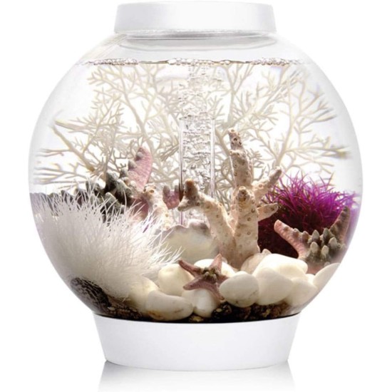 biOrb Classic 30 LED Ball Aquarium, 30 Litres, Complete Set with LED Lighting and Patented Filter System, Acrylic Basin biOrb Classic 30 LED Ball Aquarium, 30 Litres, Complete Set with LED Lighting and Patented Filter System, Acrylic Basin
