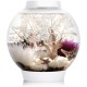 biOrb Classic 30 LED Ball Aquarium, 30 Litres, Complete Set with LED Lighting and Patented Filter System, Acrylic Basin biOrb Classic 30 LED Ball Aquarium, 30 Litres, Complete Set with LED Lighting and Patented Filter System, Acrylic Basin