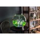 biOrb Classic 30 LED Ball Aquarium, 30 Litres, Complete Set with LED Lighting and Patented Filter System, Acrylic Basin biOrb Classic 30 LED Ball Aquarium, 30 Litres, Complete Set with LED Lighting and Patented Filter System, Acrylic Basin