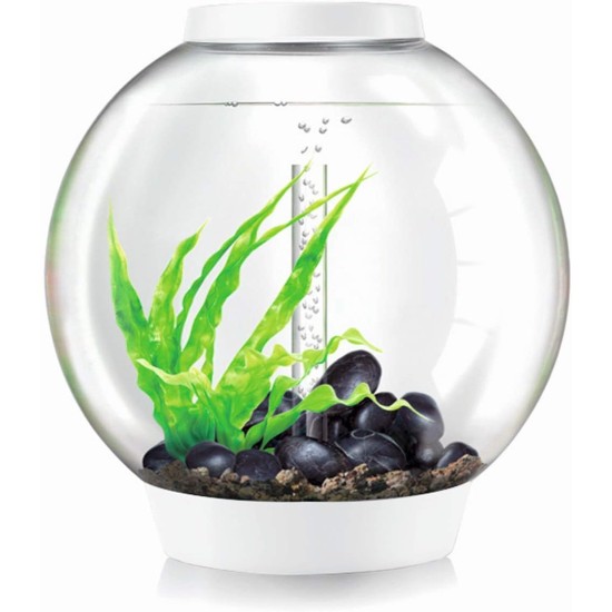 biOrb Classic 30 LED Ball Aquarium, 30 Litres, Complete Set with LED Lighting and Patented Filter System, Acrylic Basin biOrb Classic 30 LED Ball Aquarium, 30 Litres, Complete Set with LED Lighting and Patented Filter System, Acrylic Basin