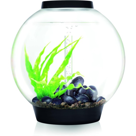 biOrb Classic 30 LED Ball Aquarium, 30 Litres, Complete Set with LED Lighting and Patented Filter System, Acrylic Basin biOrb Classic 30 LED Ball Aquarium, 30 Litres, Complete Set with LED Lighting and Patented Filter System, Acrylic Basin