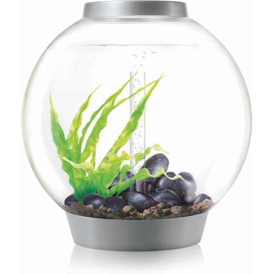 biOrb Classic 30 LED Ball Aquarium, 30 Litres, Complete Set with LED Lighting and Patented Filter System, Acrylic Basin biOrb Classic 30 LED Ball Aquarium, 30 Litres, Complete Set with LED Lighting and Patented Filter System, Acrylic Basin