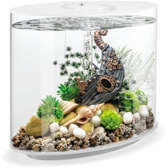 biOrb Loop 30 LED White, 30 Litres, Aquarium Complete Set with Patented Filter System, Light Unit, Acrylic Basin in Elliptical Shape biOrb Loop 30 LED White, 30 Litres, Aquarium Complete Set with Patented Filter System, Light Unit, Acrylic Basin in Elliptical Shape