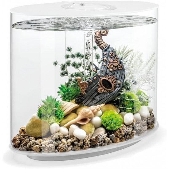 biOrb Loop 30 LED White, 30 Litres, Aquarium Complete Set with Patented Filter System, Light Unit, Acrylic Basin in Elliptical Shape biOrb Loop 30 LED White, 30 Litres, Aquarium Complete Set with Patented Filter System, Light Unit, Acrylic Basin in Elliptical Shape